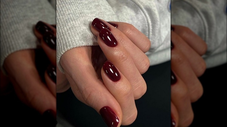 Hand with dark red painted nails 