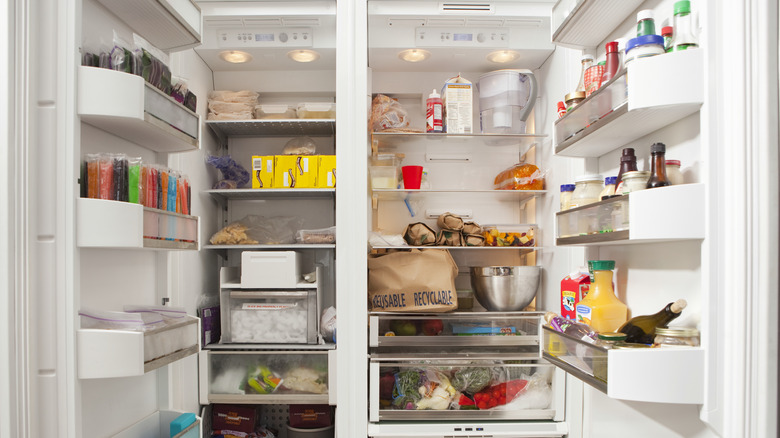 A stocked up fridge