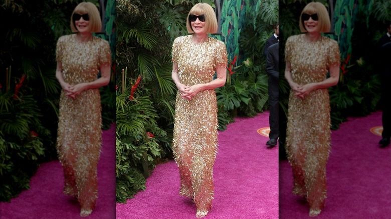 Anna Wintour on the red carpet 