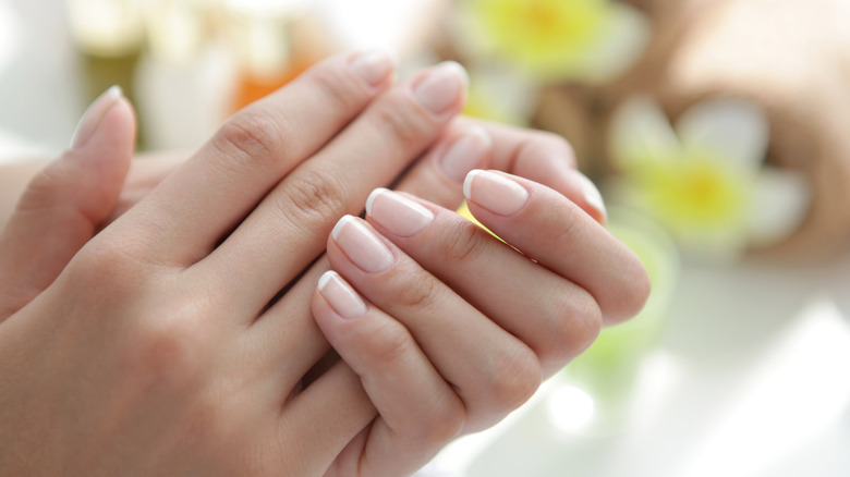 woman's hands with manicure