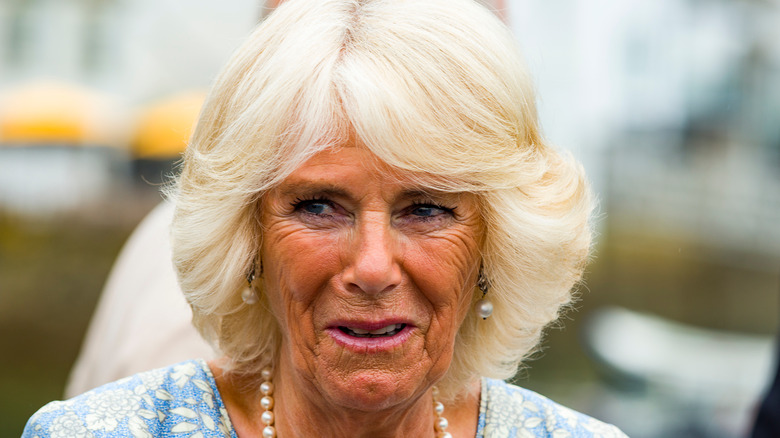 Queen Camilla wearing too much bronzer in a blue dress