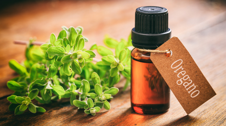 oregano essential oil on table