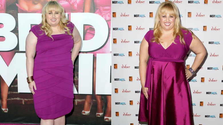 Rebel Wilson pink dresses