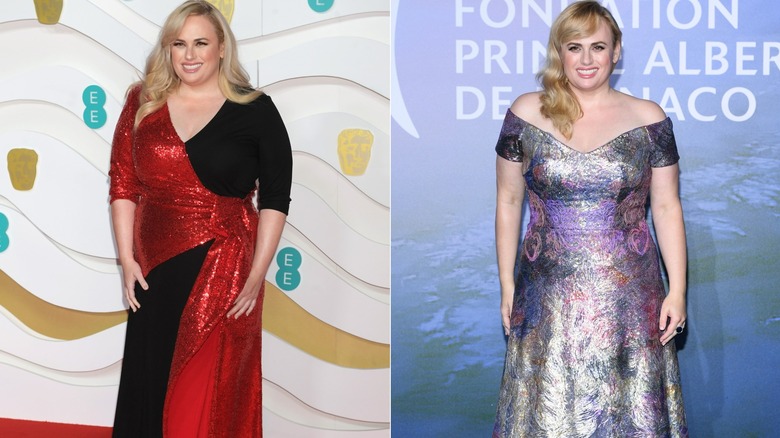 Rebel Wilson red carpet gowns