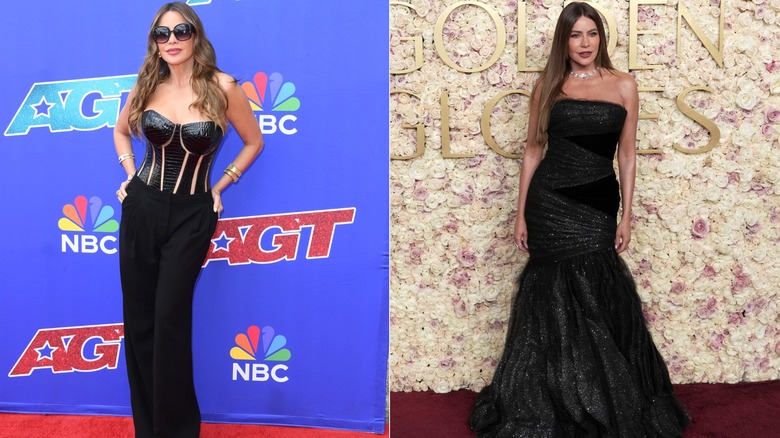 Sofía Vergara wearing black to red-carpet events in 2024 and 2025.