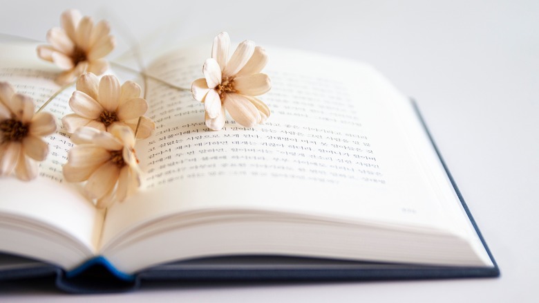 Flower sitting on an open book