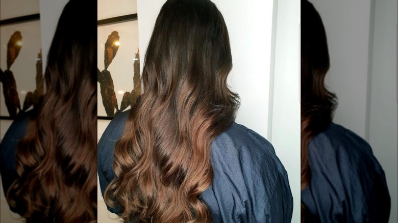 Back view of translucent brown hair