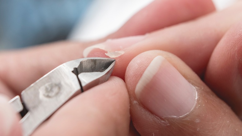 Person removing hangnail with clippers