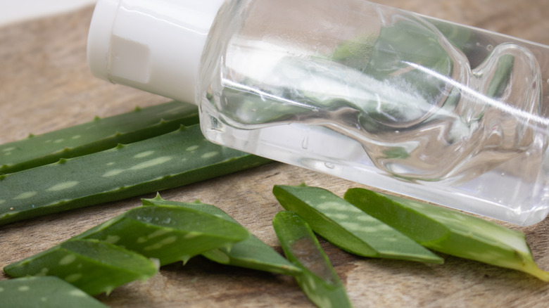 Hand sanitizer atop aloe vera