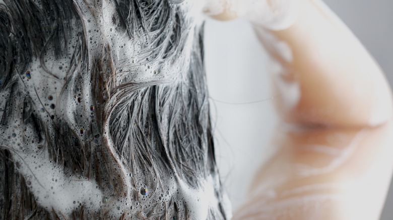 Woman shampooing her hair 