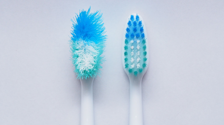 toothbrushes frayed bristles new toothbrush