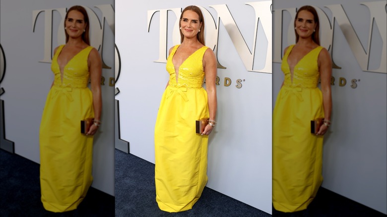 Brooke Shields at the 77th Tony Awards