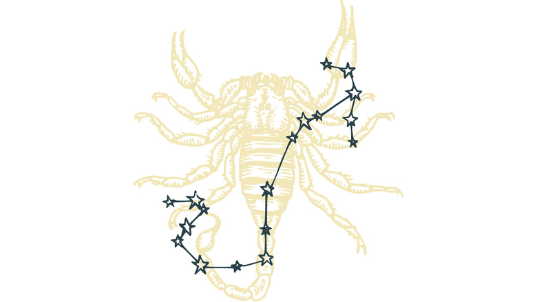 Scorpion Scorpio constellation illustration