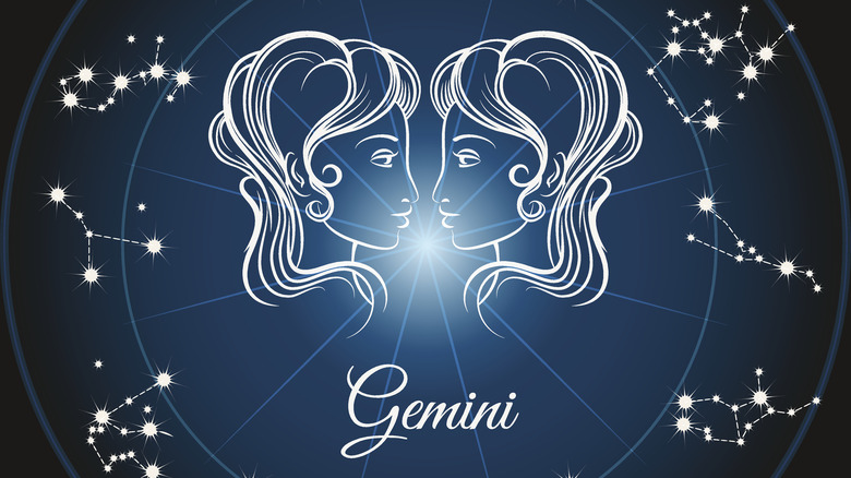 gemini the twins