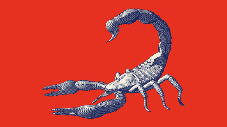 Scorpion art