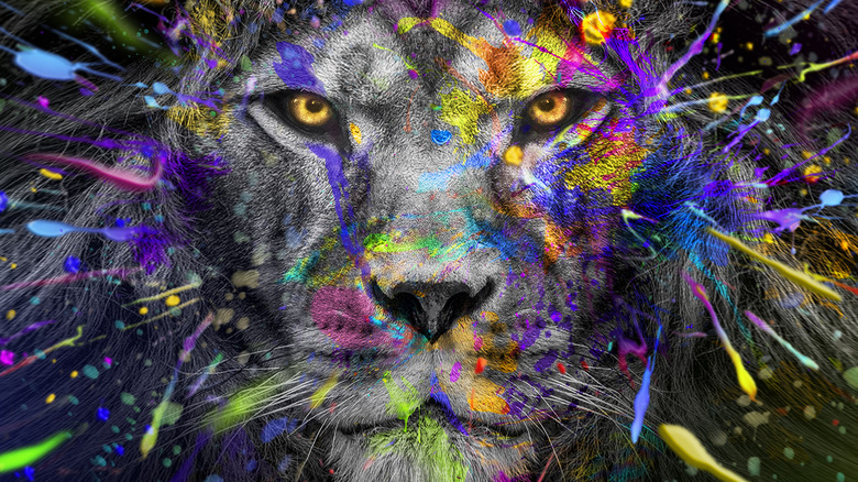 Paint-splattered lion