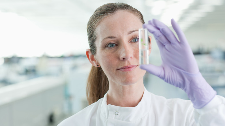 person analyzing specimen