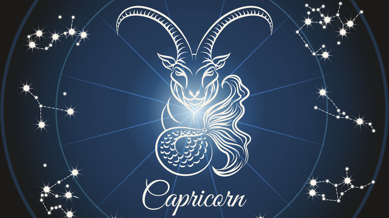 Capricorn illustration