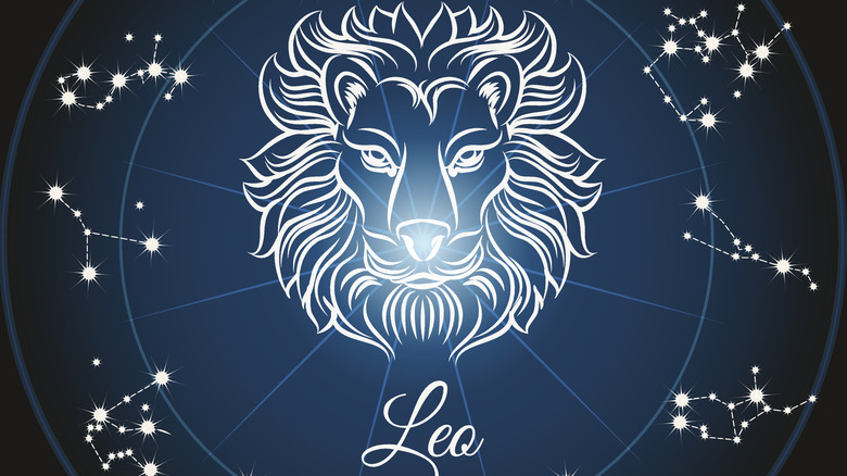 Leo lion illustration 