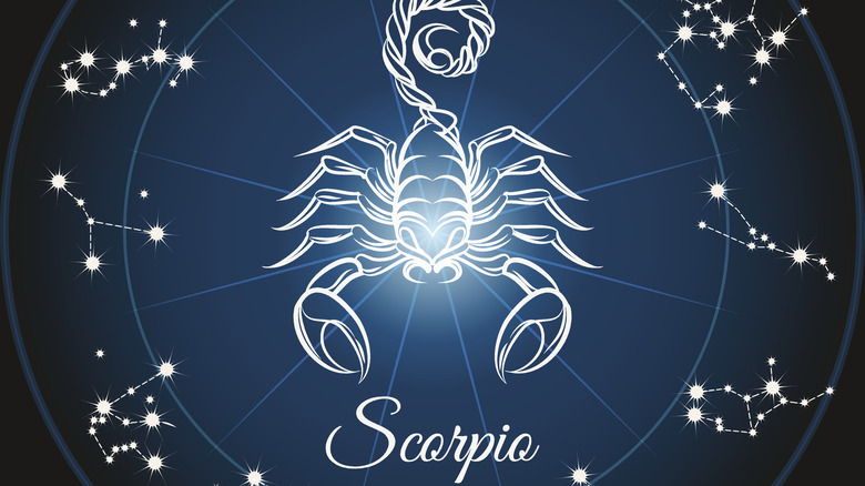Scorpio scorpion illustration 