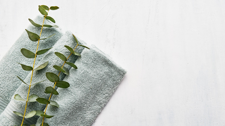 green towels with eucalyptus plants on top
