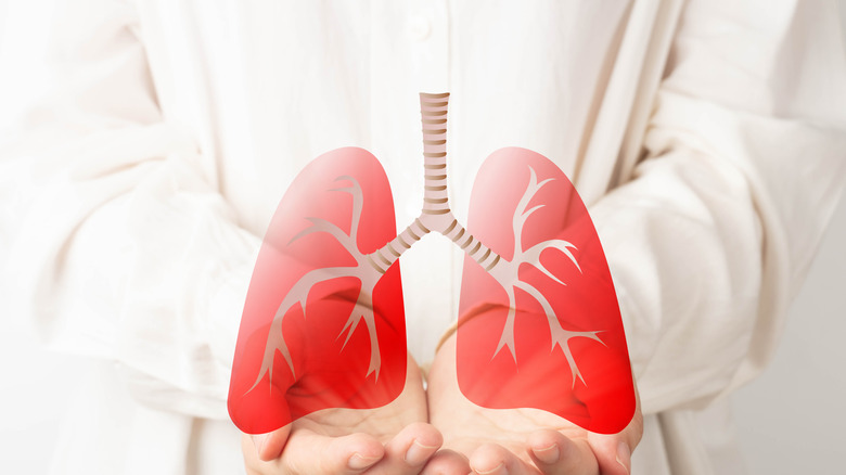 Someone holding lung photo 