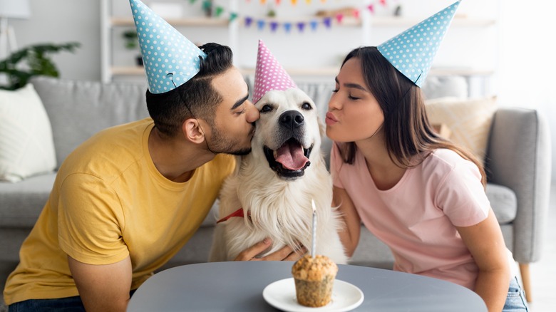 couple with birthday dog