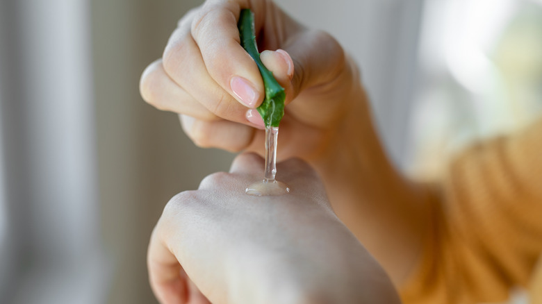 person using aloe vera