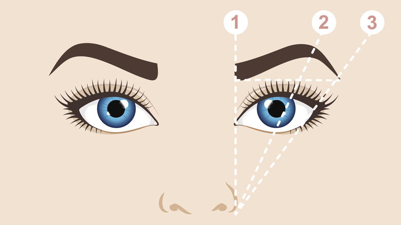 eyebrow map on animated face