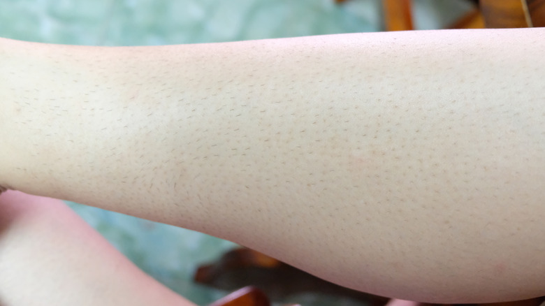 closeup of woman's leg with hair