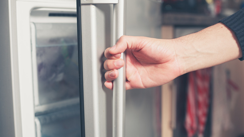 Person opening a freezer