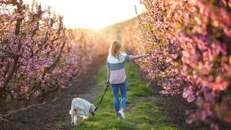 Woman walking through trees with dog