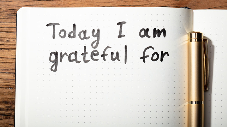 Gratitude journal and pen