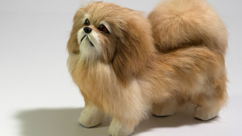 plush pet replica dog