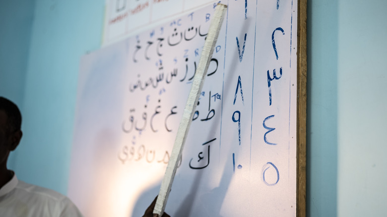 Teacher pointing to Arabic alphabet 