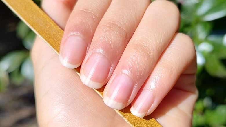 close up of rounded nails 