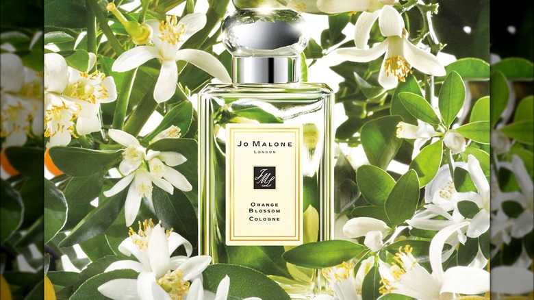 Jo Malone Orange Blossom Cologne bottle