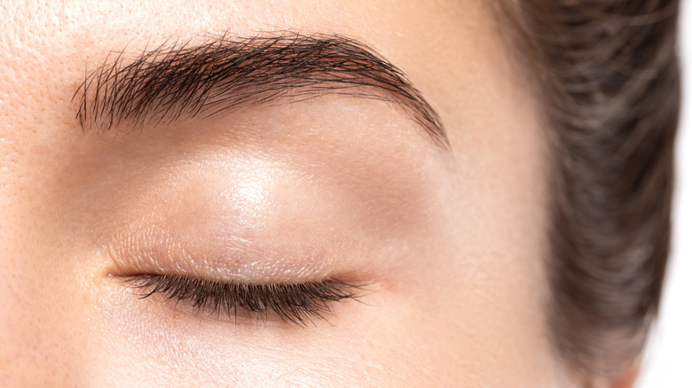 Close up of woman's brow and eyelashes