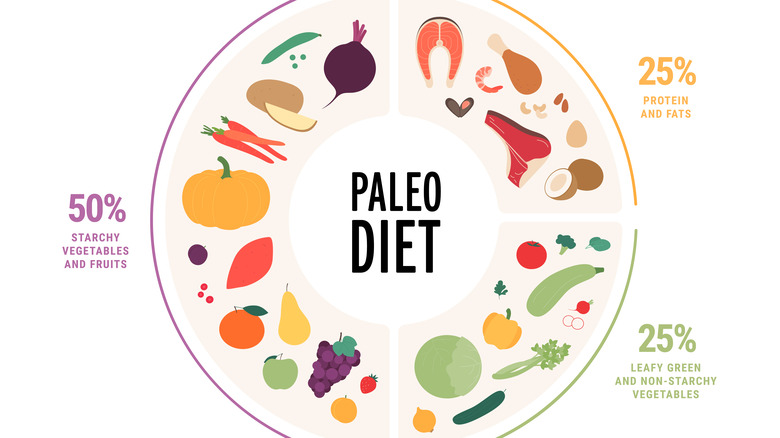 illustration of paleo diet components