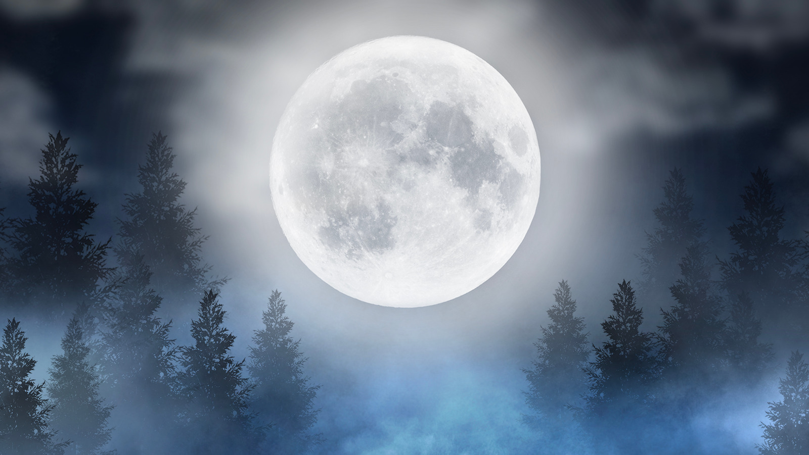 What Does A Wolf Moon Mean In Astrology?
