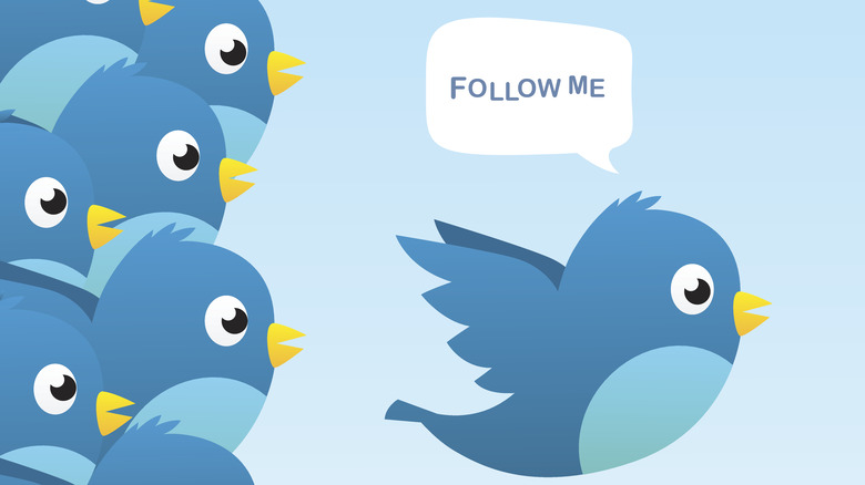 Twitter bird saying "Follow me" 