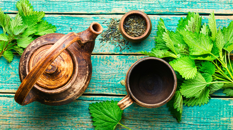 Herbs and pot of tea