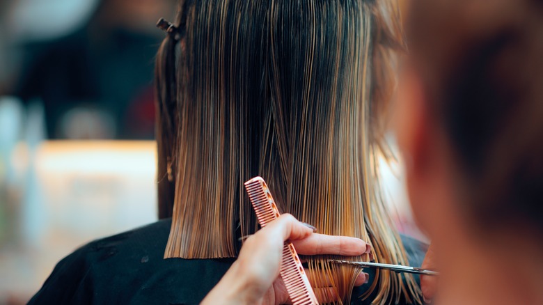 person having hair cut