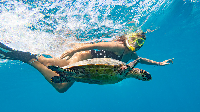 Woman snorkeling by sea turtle