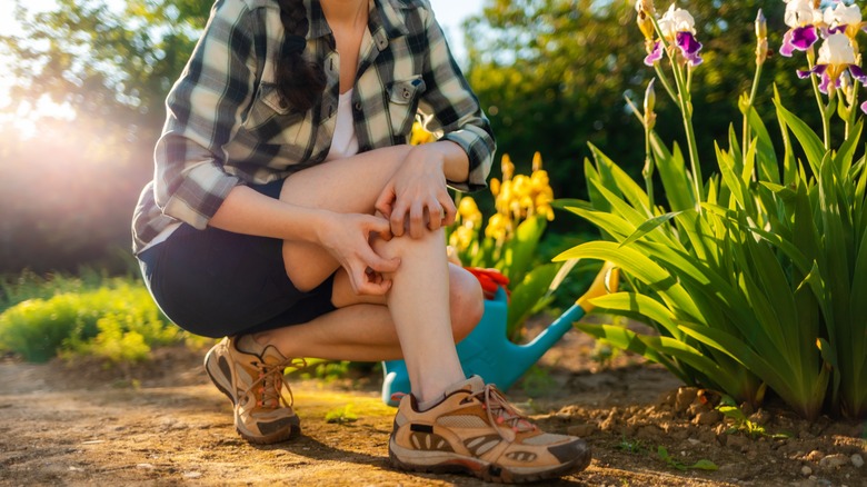 Woman scratching leg