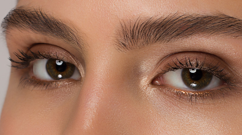 closeup of eyes and eyebrows