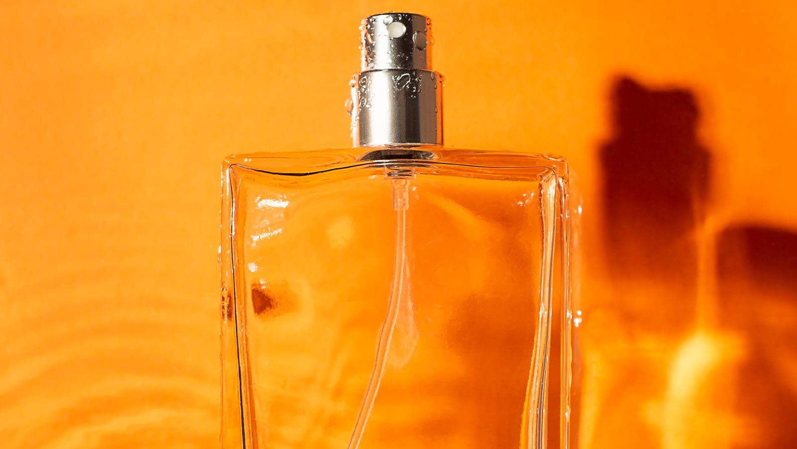 what-kind-of-scent-does-a-solar-fragrance-have-beautynews-uk