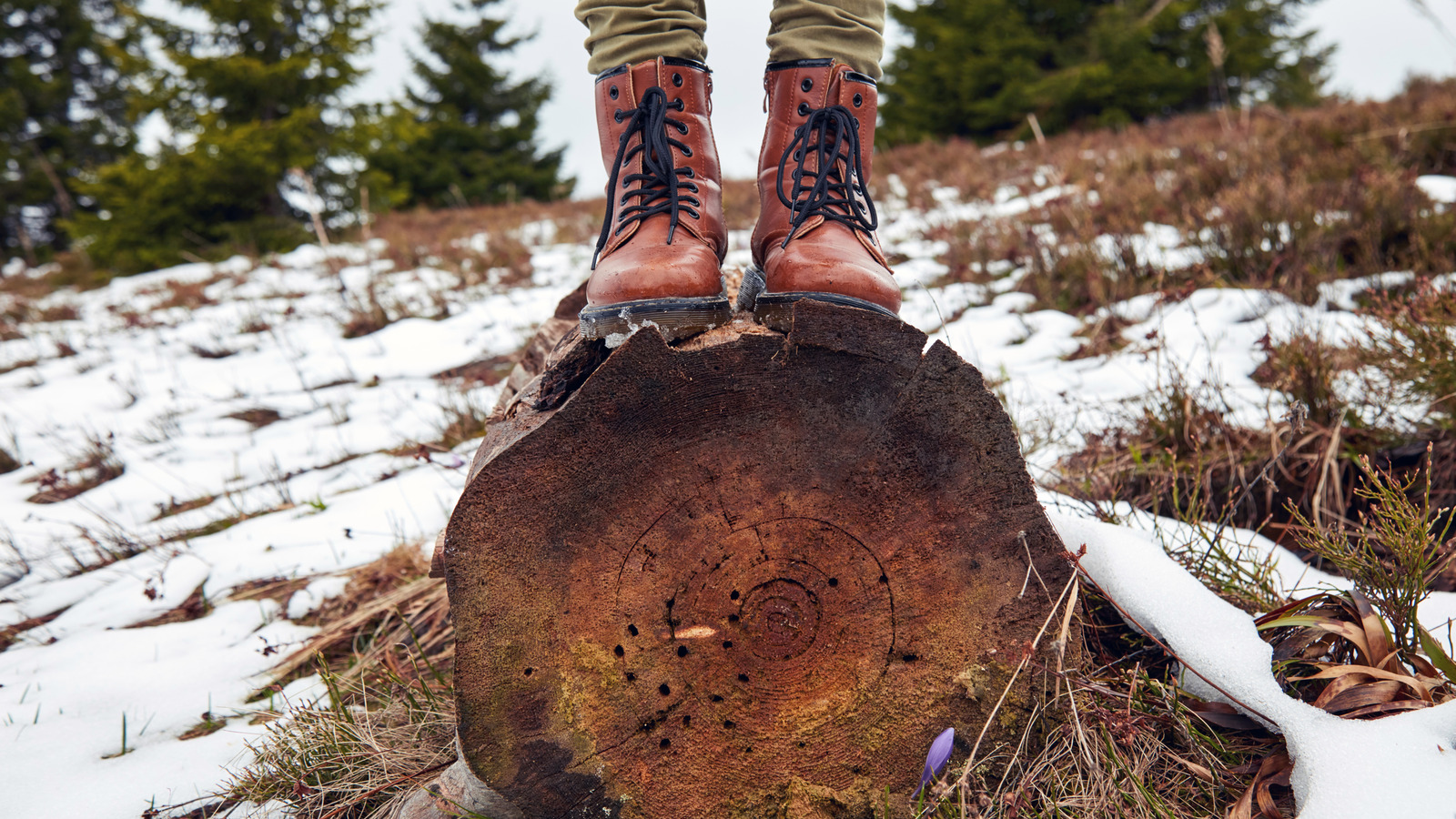 what-to-do-if-your-shoes-end-up-stained-from-road-salt-this-winter