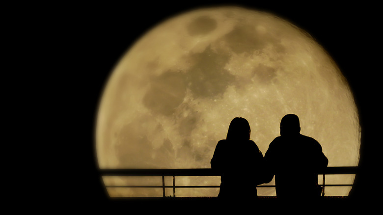 couple sitting under the moon