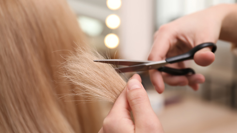 Stylist cutting blonde hair